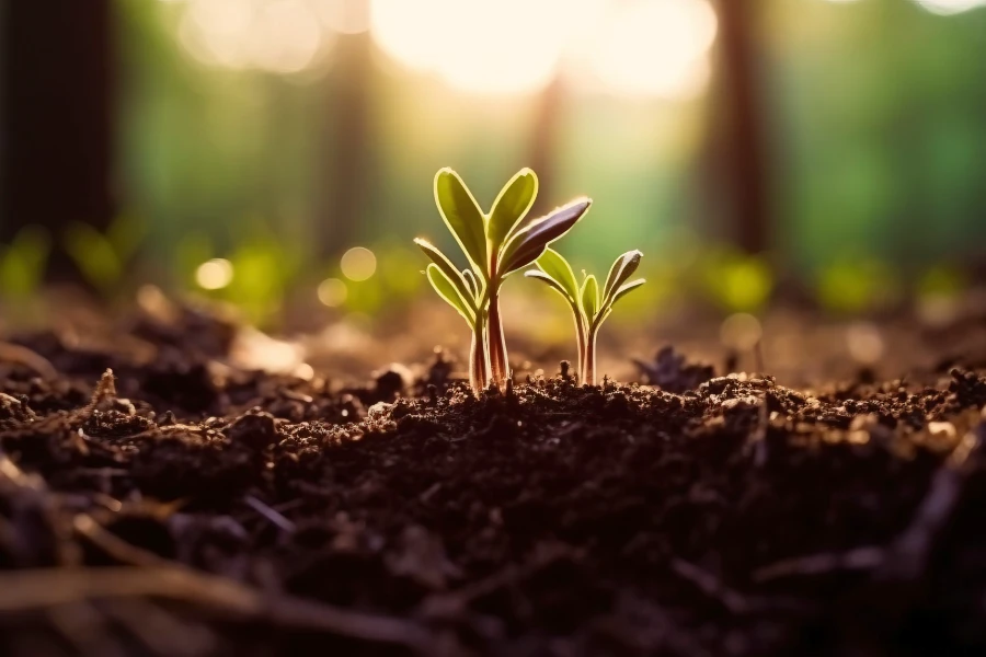 About（images 10）